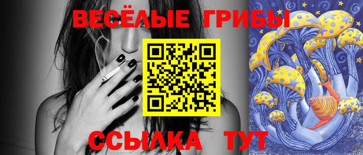 Зеленогорск  Галлюциногенные грибы Cubensis  Вход с VPN  Псилоцибиновые грибы мицелий 